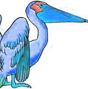 Meet your Posher, Abluepelican